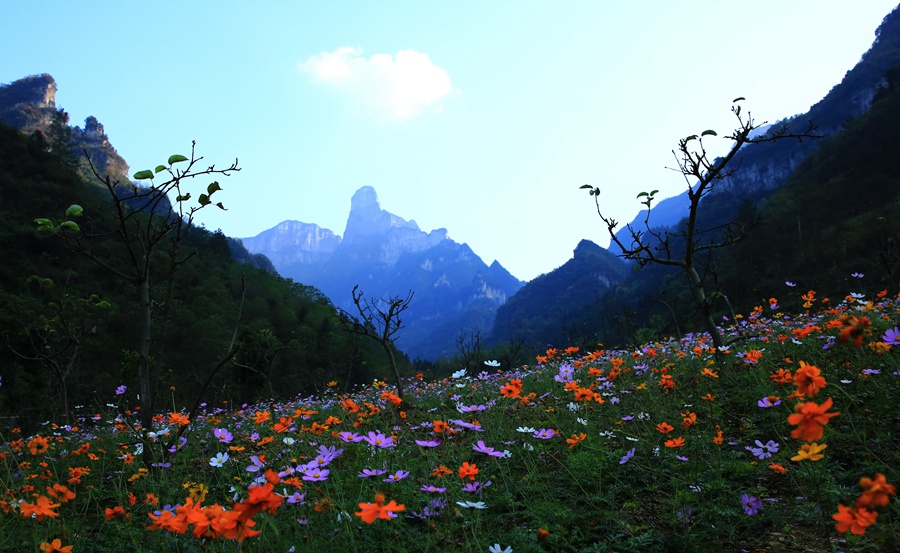 老道湾风景区