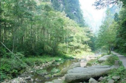 去湖南张家界旅游什么季节好？