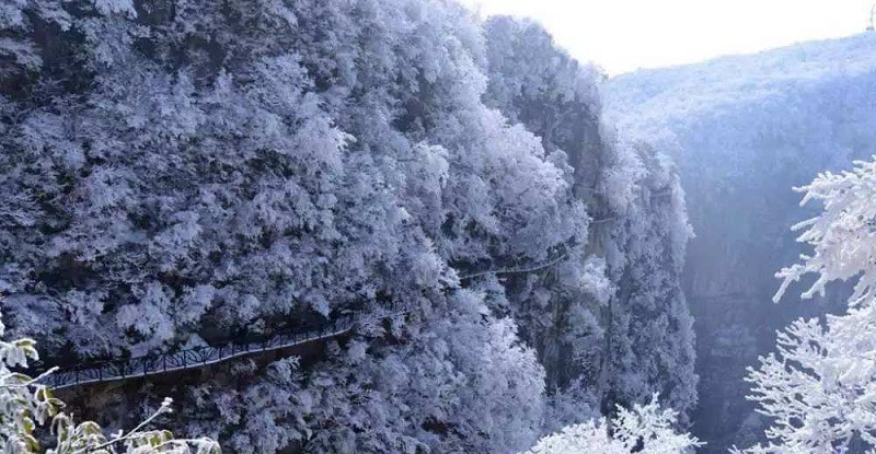 冬季张家界旅游攻略