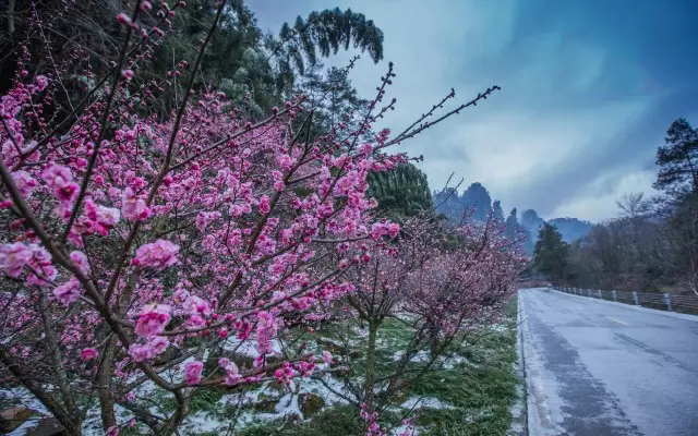 张家界旅游