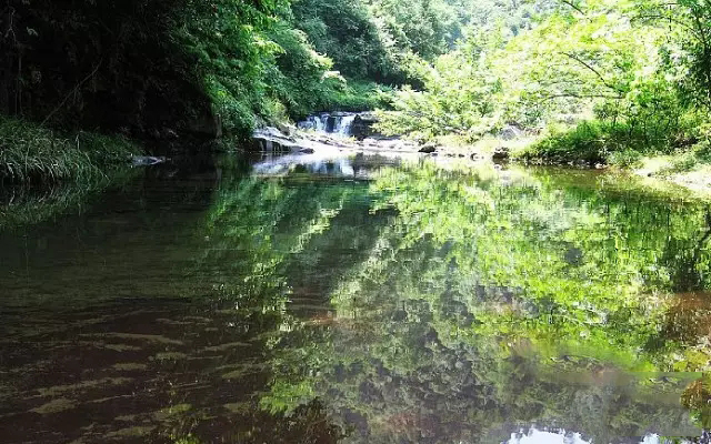  张家界旅游