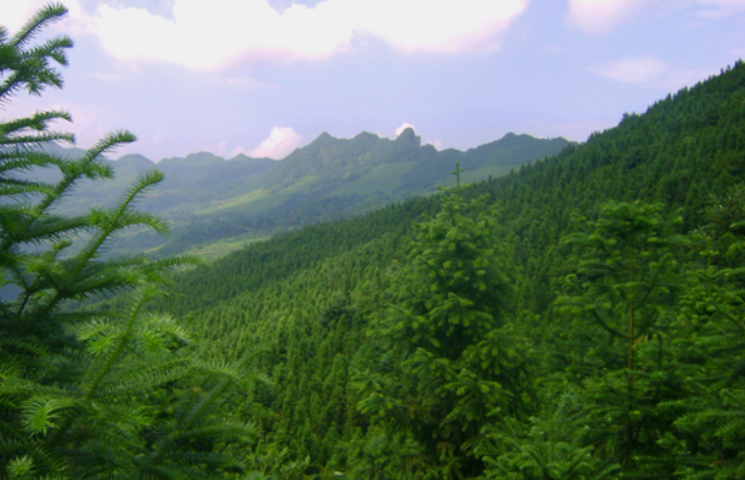 张家界西花园《天泉山》