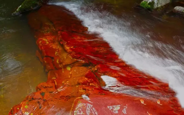  张家界旅游