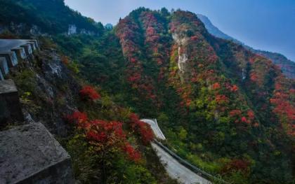 勇者的探险胜地《崇山》