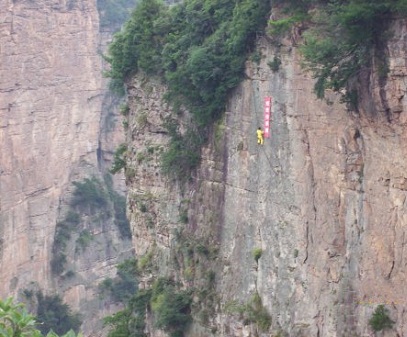 张家界旅游特产岩耳：功效与作用及食用方法